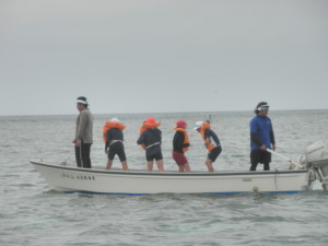 海面に、石をなげて追い込みます。