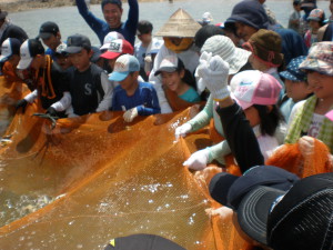 自然の恵みと島の人の知恵。たくさん捕れました。